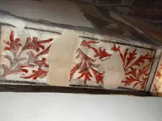 Sottarco Ovest con decoro vegetale - Chiesa di San Giovanni Battista a Caraglio