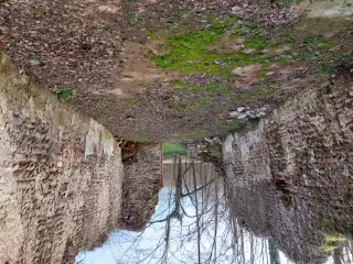 Resti dell'interno - Oratorio di San Clemente a Barengo