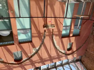 Tracce delle volte - Chiostro di Santa Croce a Casale Monferrato