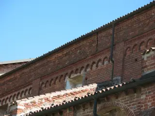 Transetto  sud - Abbazia o Monastero di Santa Maria a CarmagnolaFrazione Casanova