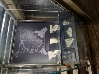 Frammenti scultorei - Duomo o Cattedrale di San Lorenzo a Alba