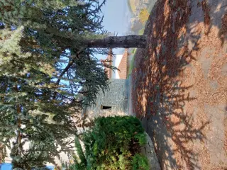 Fianco e abside - Chiesa di Sant'Ilario a Cassinasco