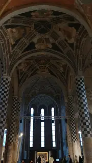 Interno - Chiesa di San Domenico a Alba