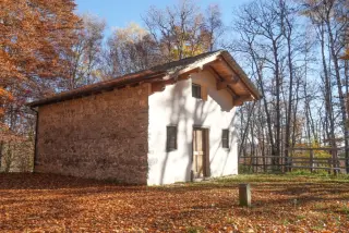 Fianco sinistro - Oratorio di San Jacu Pitu a CellioFrazione Bosco