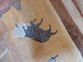 Dettaglio del Maialino di Sant'Antonio - Cappella di San Vito a Cavallermaggiore