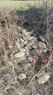 Pietre della muratura crollata - Resti Della Cella di San Michele di Dorvezio a Cerrione