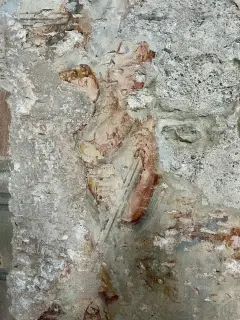 Frammento di affresco - Ex Convento dei Padri Minori o di San Francesco a Cortemilia