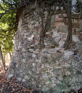 Abside - Resti Chiesa di Santa Maria in Castellazzo a CureggioFrazione Castellazzo