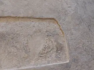 Volto - Cappella della Madonna del Boschetto a Frossasco