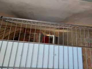 Affreschi dalla finestrella votiva - Cappella di San Gottardo a Lagnasco