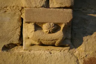 Peduccio con animale e fiore - Chiesa o Pieve della Madonna della Pieve o di Santa Maria a Cortemilia